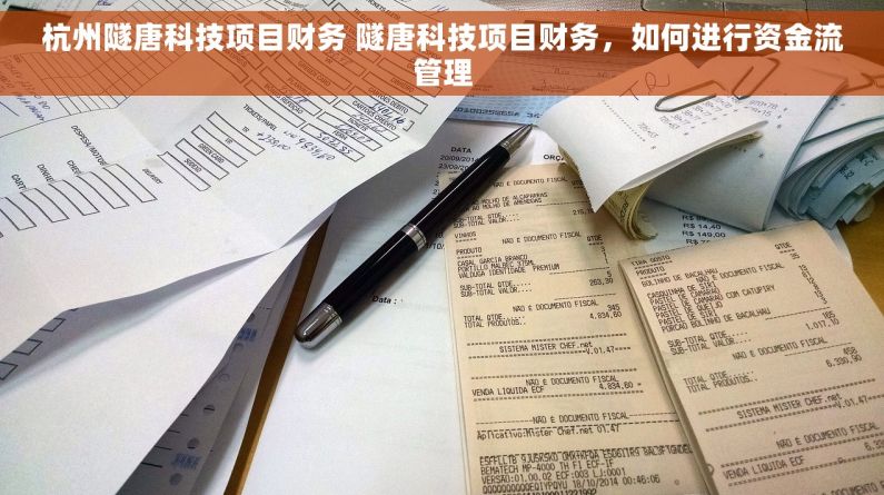 杭州隧唐科技项目财务 隧唐科技项目财务，如何进行资金流管理