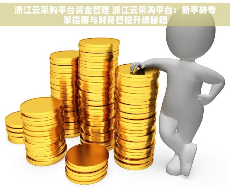 浙江云采购平台资金管理 浙江云采购平台：新手转专家指南与财务管控升级秘籍