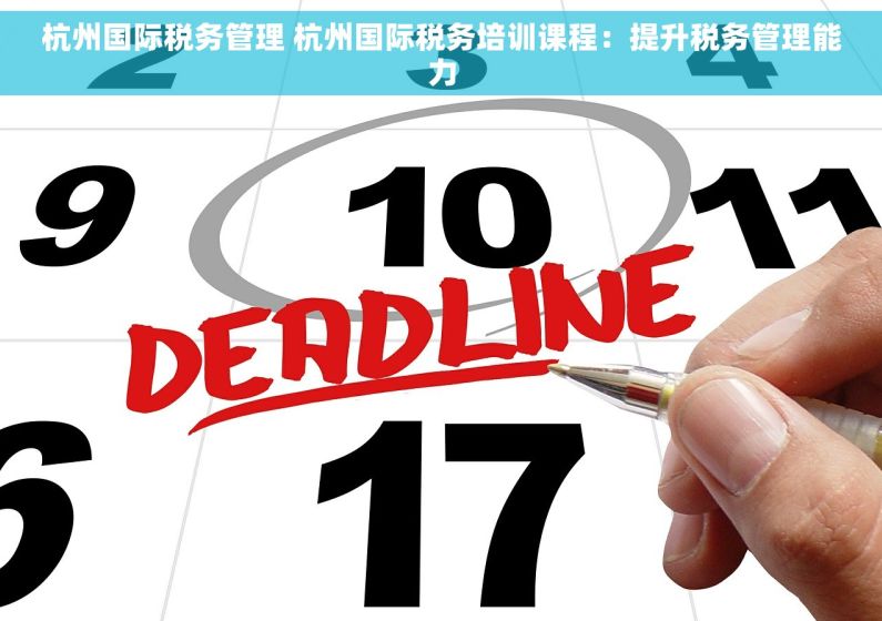 杭州国际税务管理 杭州国际税务培训课程：提升税务管理能力