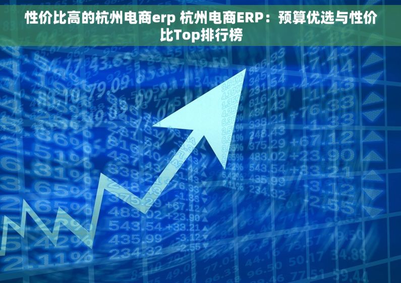 性价比高的杭州电商erp 杭州电商ERP：预算优选与性价比Top排行榜