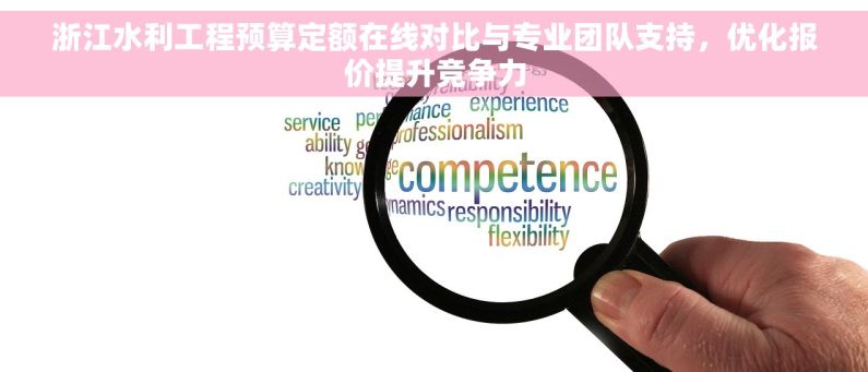 浙江水利工程预算定额在线对比与专业团队支持，优化报价提升竞争力