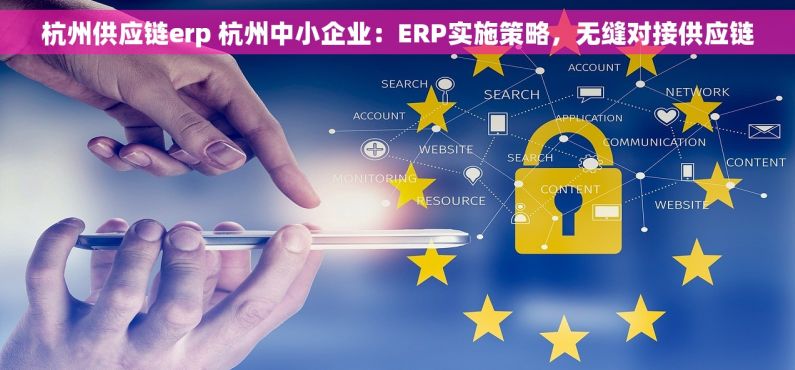 杭州供应链erp 杭州中小企业：ERP实施策略，无缝对接供应链
