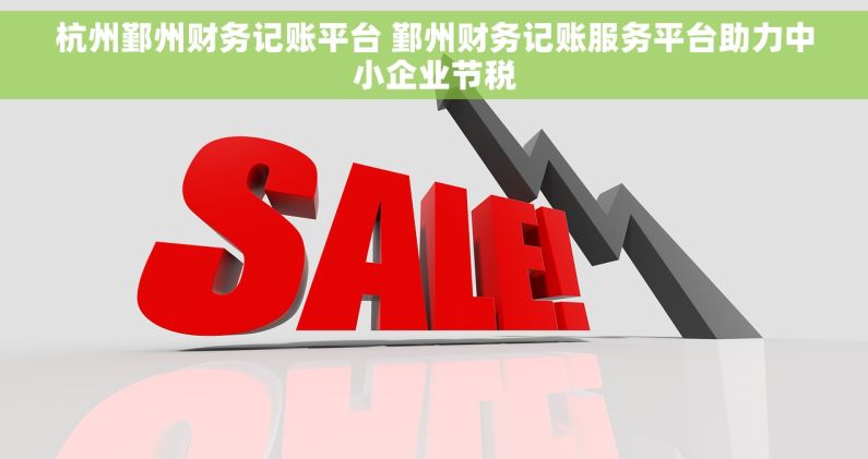 杭州鄞州财务记账平台 鄞州财务记账服务平台助力中小企业节税