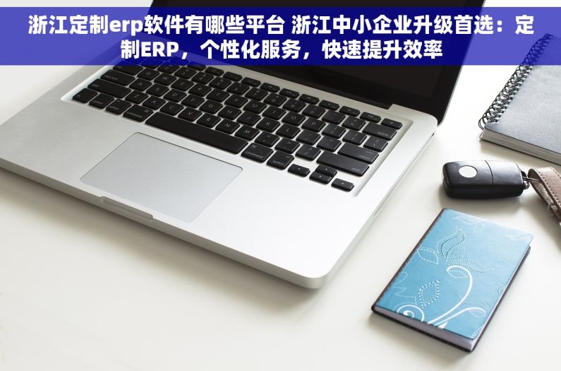浙江定制erp软件有哪些平台 浙江中小企业升级首选：定制ERP，个性化服务，快速提升效率
