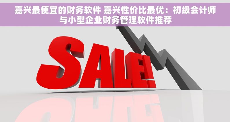 嘉兴最便宜的财务软件 嘉兴性价比最优：初级会计师与小型企业财务管理软件推荐