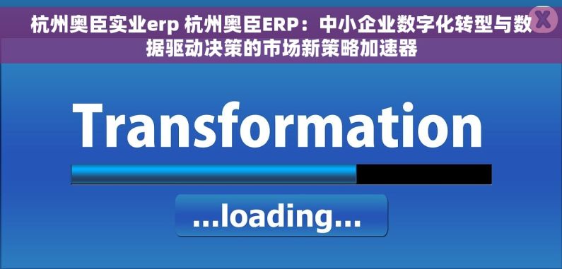 杭州奥臣实业erp 杭州奥臣ERP：中小企业数字化转型与数据驱动决策的市场新策略加速器