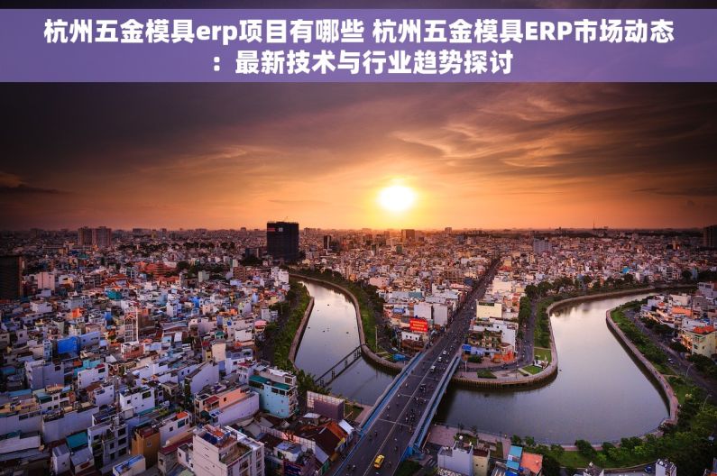 杭州五金模具erp项目有哪些 杭州五金模具ERP市场动态：最新技术与行业趋势探讨