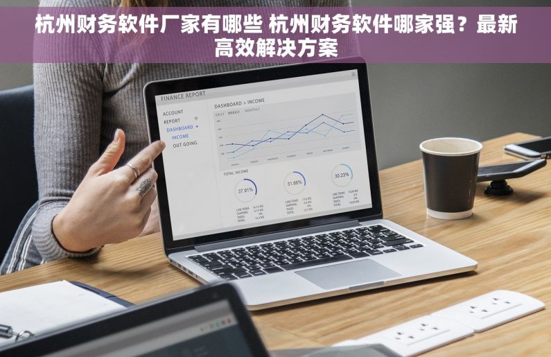 杭州财务软件厂家有哪些 杭州财务软件哪家强？最新高效解决方案