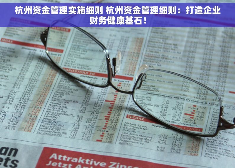 杭州资金管理实施细则 杭州资金管理细则：打造企业财务健康基石！