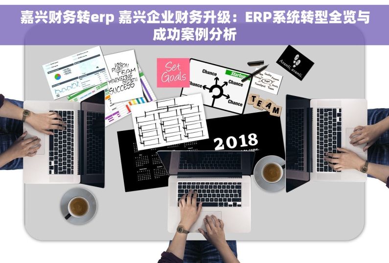嘉兴财务转erp 嘉兴企业财务升级：ERP系统转型全览与成功案例分析