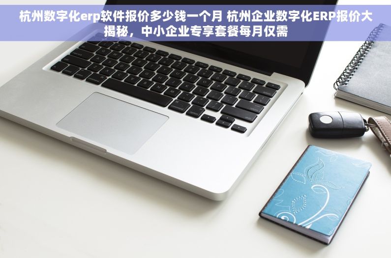 杭州数字化erp软件报价多少钱一个月 杭州企业数字化ERP报价大揭秘，中小企业专享套餐每月仅需