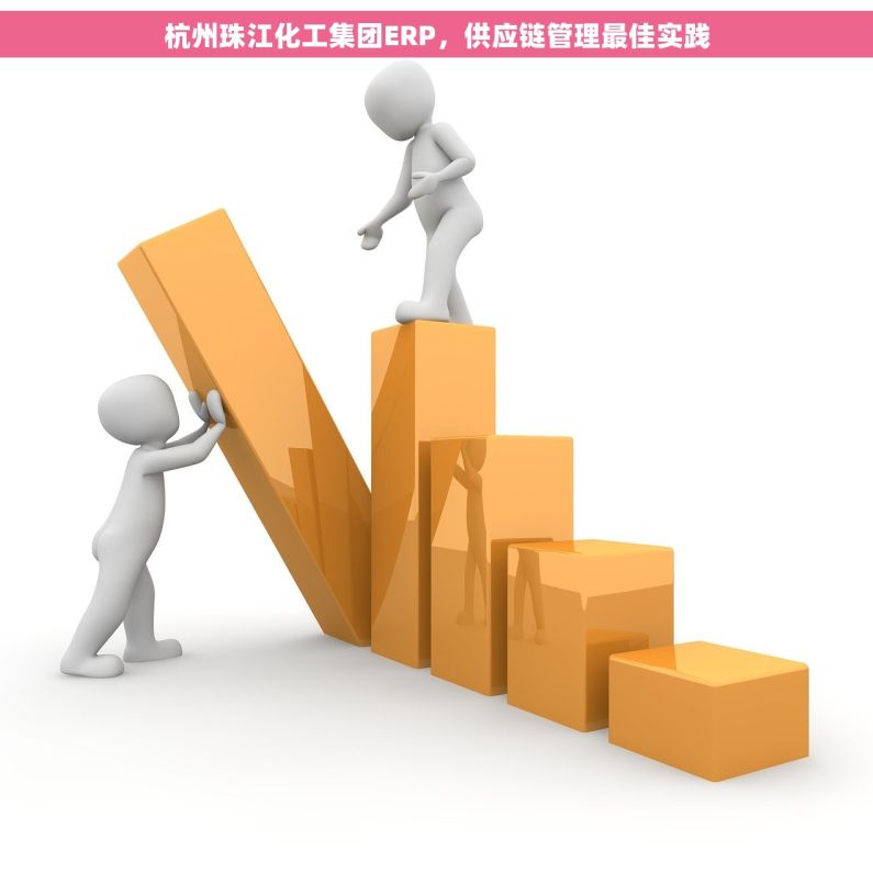 杭州珠江化工集团ERP，供应链管理最佳实践