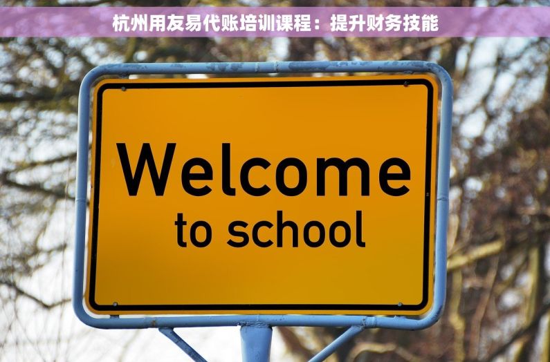杭州用友易代账培训课程：提升财务技能