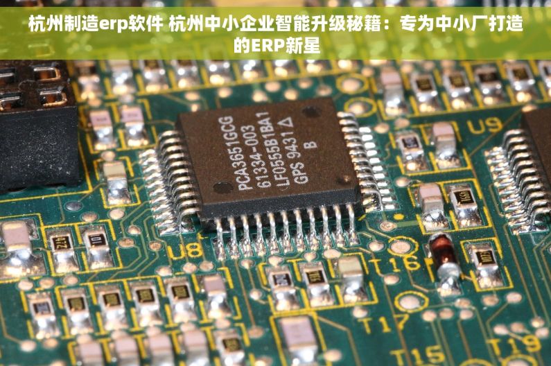 杭州制造erp软件 杭州中小企业智能升级秘籍：专为中小厂打造的ERP新星