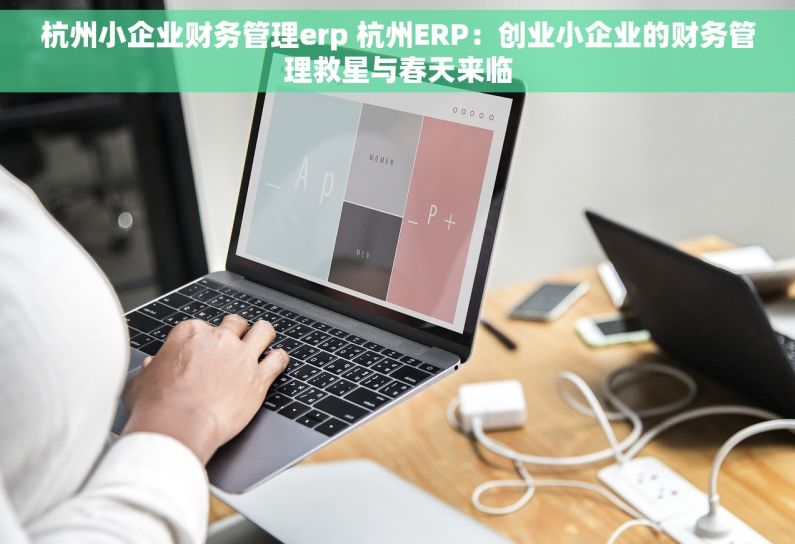 杭州小企业财务管理erp 杭州ERP：创业小企业的财务管理救星与春天来临