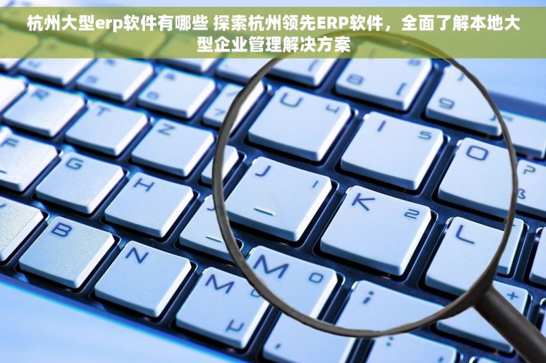 杭州大型erp软件有哪些 探索杭州领先ERP软件，全面了解本地大型企业管理解决方案