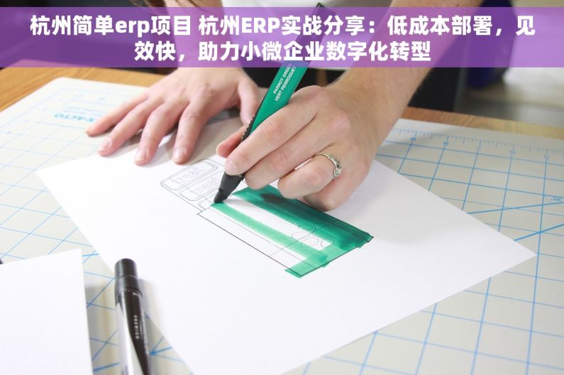 杭州简单erp项目 杭州ERP实战分享：低成本部署，见效快，助力小微企业数字化转型