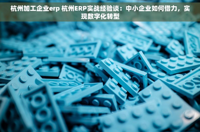 杭州加工企业erp 杭州ERP实战经验谈：中小企业如何借力，实现数字化转型