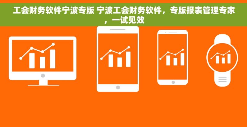 工会财务软件宁波专版 宁波工会财务软件，专版报表管理专家，一试见效