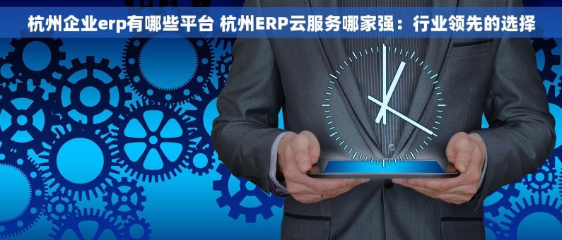 杭州企业erp有哪些平台 杭州ERP云服务哪家强：行业领先的选择