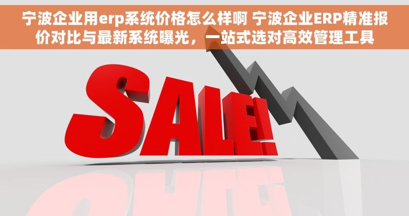 宁波企业用erp系统价格怎么样啊 宁波企业ERP精准报价对比与最新系统曝光，一站式选对高效管理工具