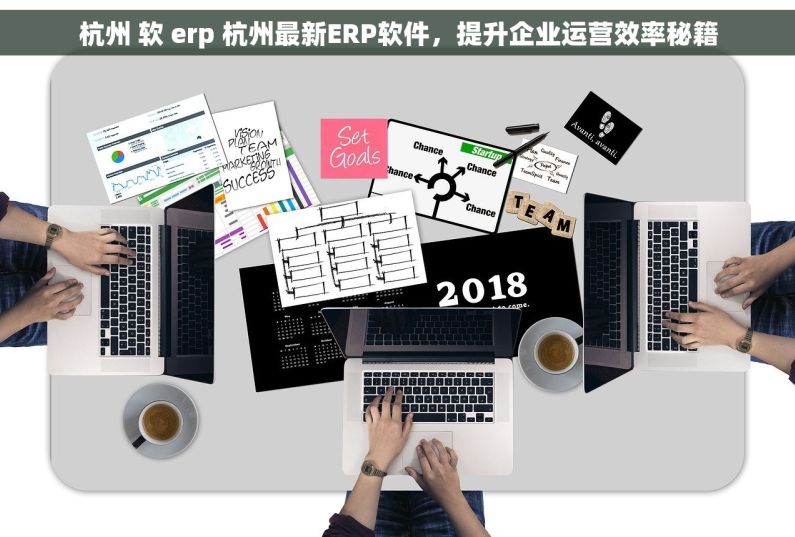 杭州 软 erp 杭州最新ERP软件，提升企业运营效率秘籍