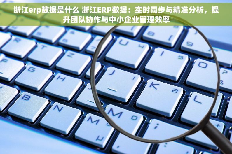 浙江erp数据是什么 浙江ERP数据：实时同步与精准分析，提升团队协作与中小企业管理效率