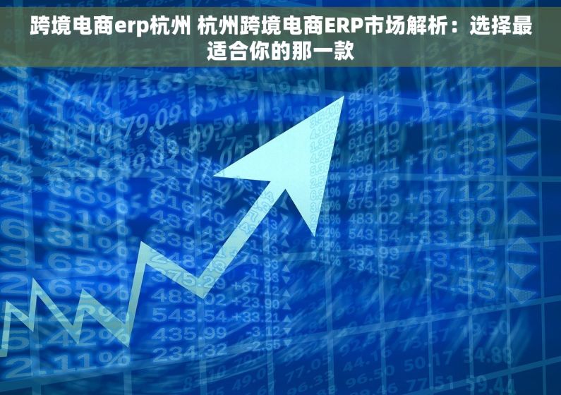 跨境电商erp杭州 杭州跨境电商ERP市场解析：选择最适合你的那一款