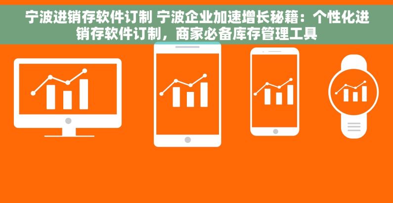 宁波进销存软件订制 宁波企业加速增长秘籍：个性化进销存软件订制，商家必备库存管理工具