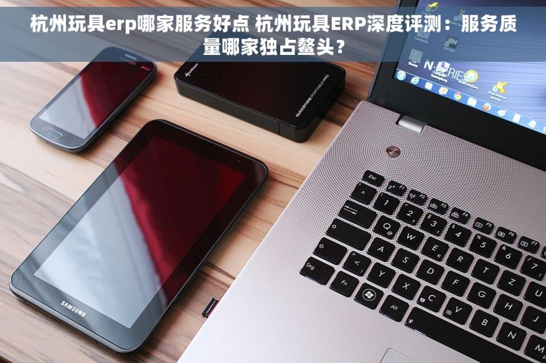 杭州玩具erp哪家服务好点 杭州玩具ERP深度评测：服务质量哪家独占鳌头？