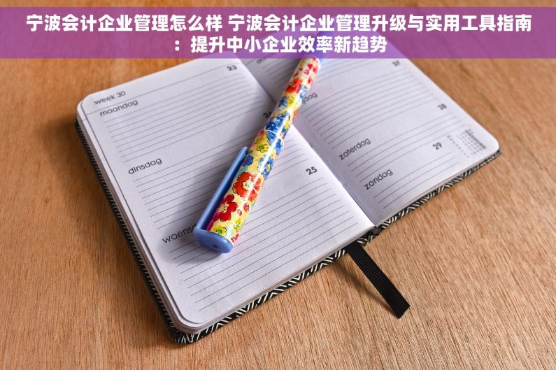 宁波会计企业管理怎么样 宁波会计企业管理升级与实用工具指南：提升中小企业效率新趋势