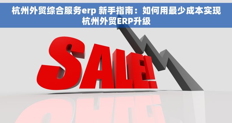 杭州外贸综合服务erp 新手指南：如何用最少成本实现杭州外贸ERP升级