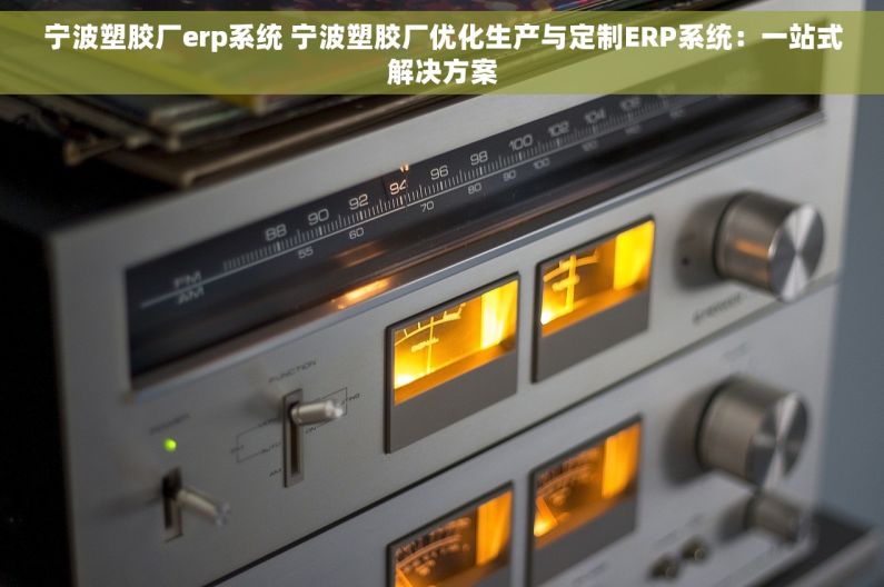 宁波塑胶厂erp系统 宁波塑胶厂优化生产与定制ERP系统：一站式解决方案