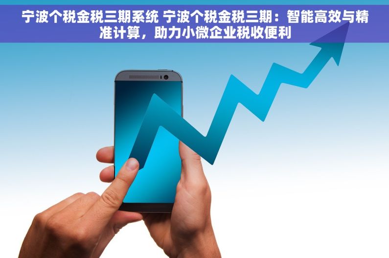 宁波个税金税三期系统 宁波个税金税三期：智能高效与精准计算，助力小微企业税收便利