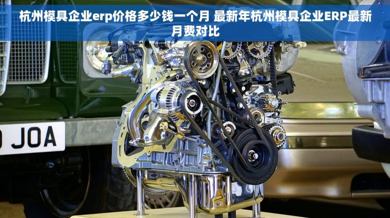 杭州模具企业erp价格多少钱一个月 最新年杭州模具企业ERP最新月费对比