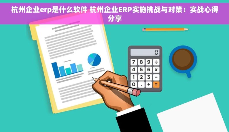 杭州企业erp是什么软件 杭州企业ERP实施挑战与对策：实战心得分享