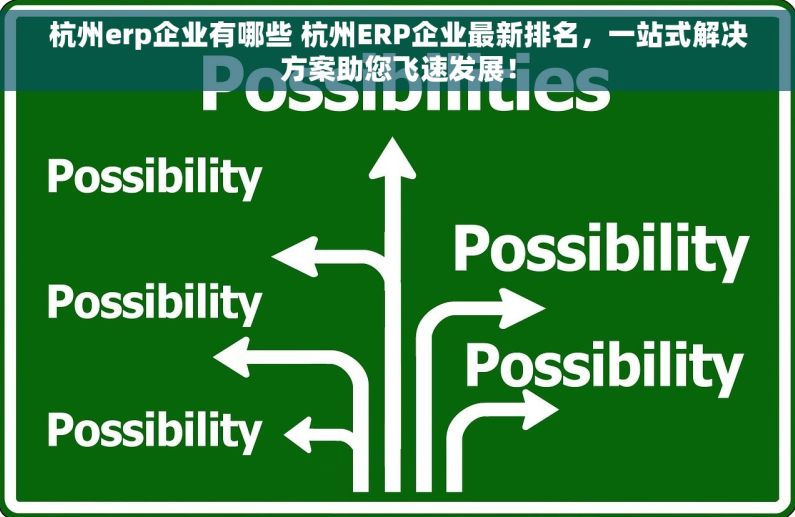 杭州erp企业有哪些 杭州ERP企业最新排名，一站式解决方案助您飞速发展！