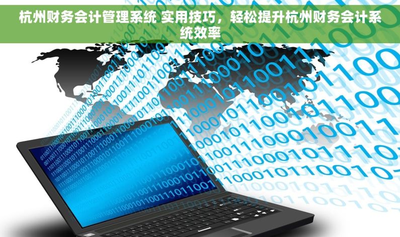 杭州财务会计管理系统 实用技巧，轻松提升杭州财务会计系统效率