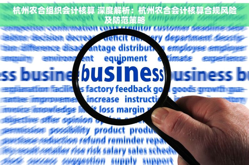 杭州农合组织会计核算 深度解析：杭州农合会计核算合规风险及防范策略