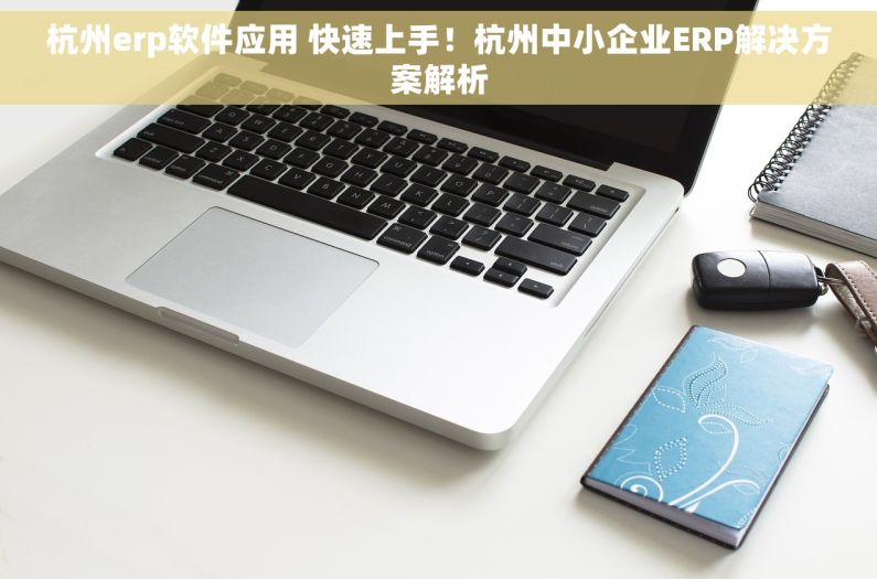 杭州erp软件应用 快速上手！杭州中小企业ERP解决方案解析