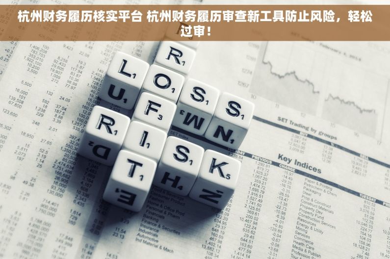 杭州财务履历核实平台 杭州财务履历审查新工具防止风险，轻松过审！