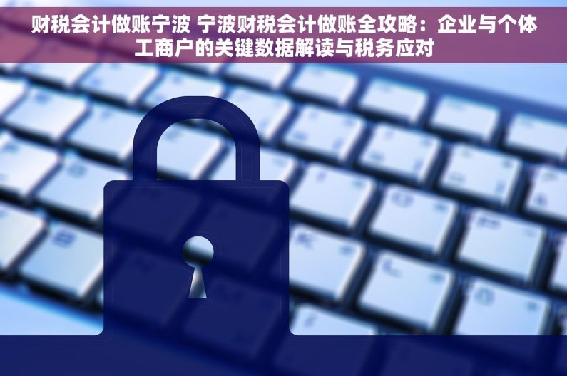 财税会计做账宁波 宁波财税会计做账全攻略：企业与个体工商户的关键数据解读与税务应对