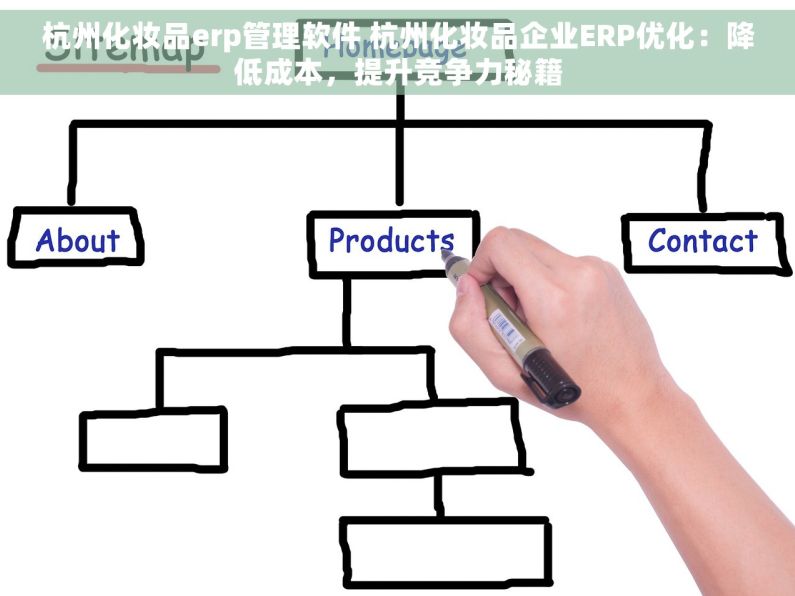 杭州化妆品erp管理软件 杭州化妆品企业ERP优化：降低成本，提升竞争力秘籍