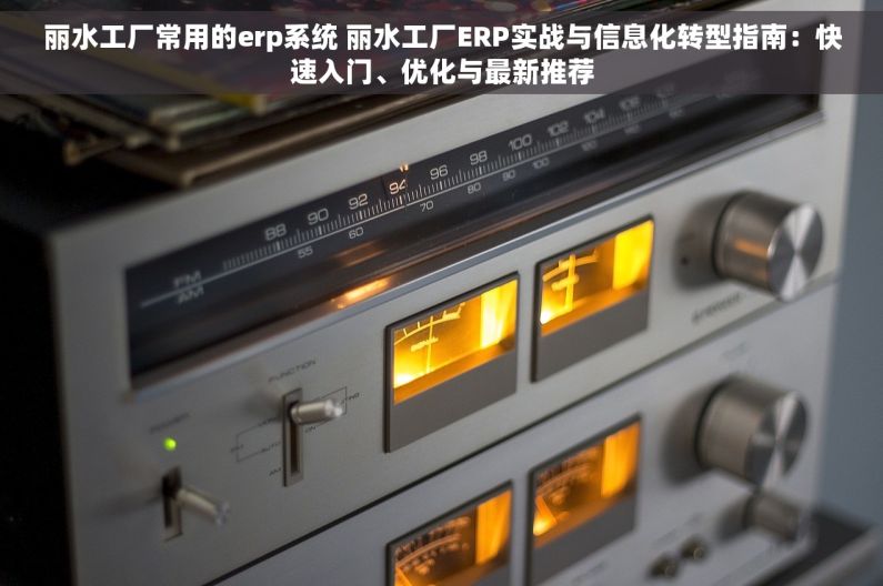 丽水工厂常用的erp系统 丽水工厂ERP实战与信息化转型指南：快速入门、优化与最新推荐