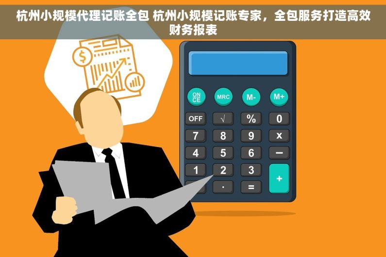 杭州小规模代理记账全包 杭州小规模记账专家，全包服务打造高效财务报表