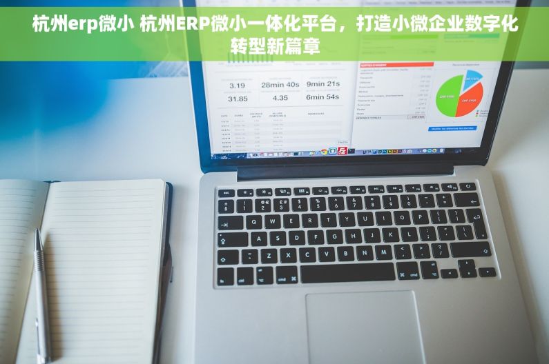 杭州erp微小 杭州ERP微小一体化平台，打造小微企业数字化转型新篇章