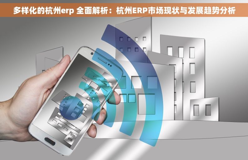 多样化的杭州erp 全面解析：杭州ERP市场现状与发展趋势分析