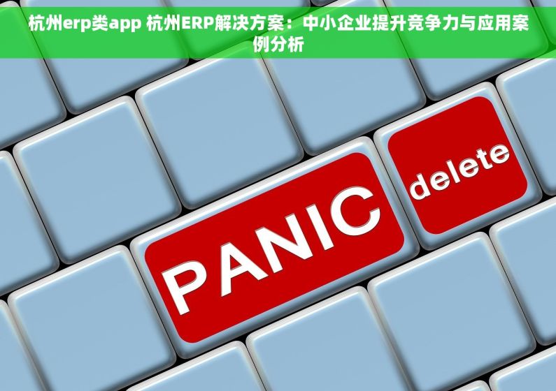 杭州erp类app 杭州ERP解决方案：中小企业提升竞争力与应用案例分析