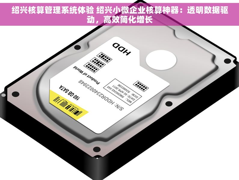 绍兴核算管理系统体验 绍兴小微企业核算神器：透明数据驱动，高效简化增长