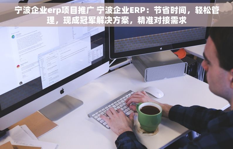 宁波企业erp项目推广 宁波企业ERP：节省时间，轻松管理，现成冠军解决方案，精准对接需求